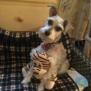 Meet your Posher, Ginette